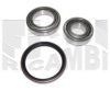 AUTOTEAM RA6702 Wheel Bearing Kit